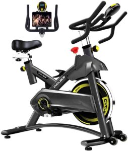 Cyclace Indoor Exercise Stationary Bike