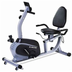 Maxkare Recumbent Exercise Bike for Indoor Cycling