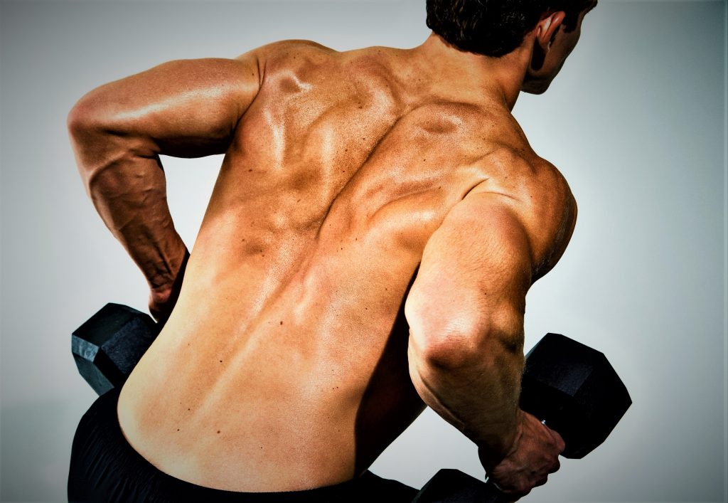 V-shaped Back Workout with Dumbbells