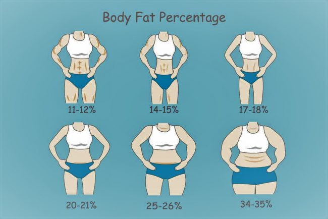 Body Fat Percentage Actually Look like