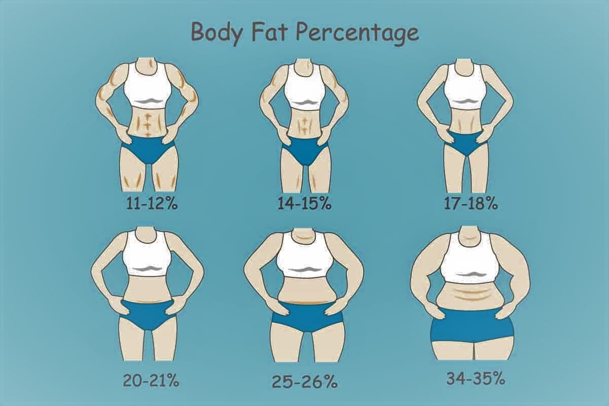 body fat percentages of women