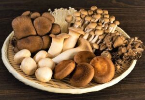 Substitute For Mushrooms