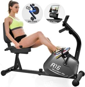 SNODE Magnetic Recumbent Exercise Bike