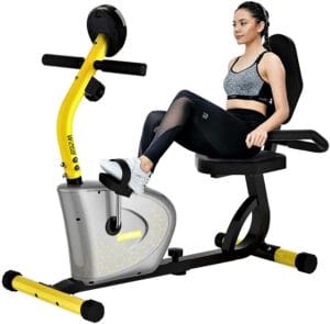 Pooboo Magnetic Recumbent Exercise Bike