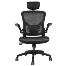 Naspaluro Ergonomics Office Chair