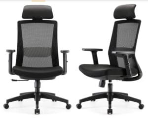 SIHOO Ergonomic Office Chair