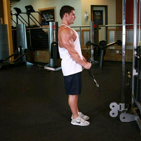 Cable Rope Hammer Curls