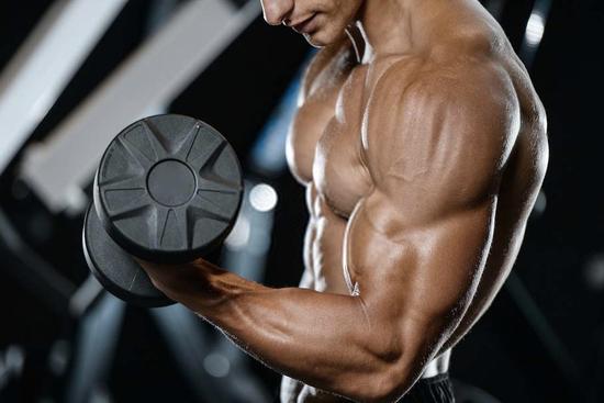 Biceps Exercises for Bodybuilding