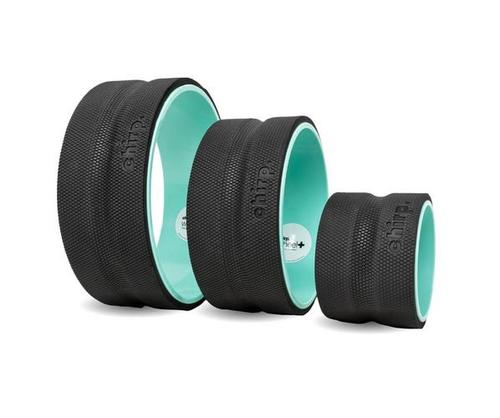 Chirp Wheel Plus Sizes