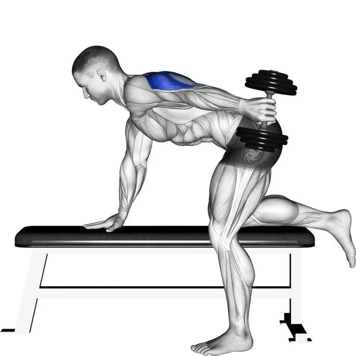 Dumbbell Tricep Kickbacks