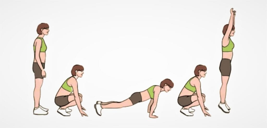 Burpee